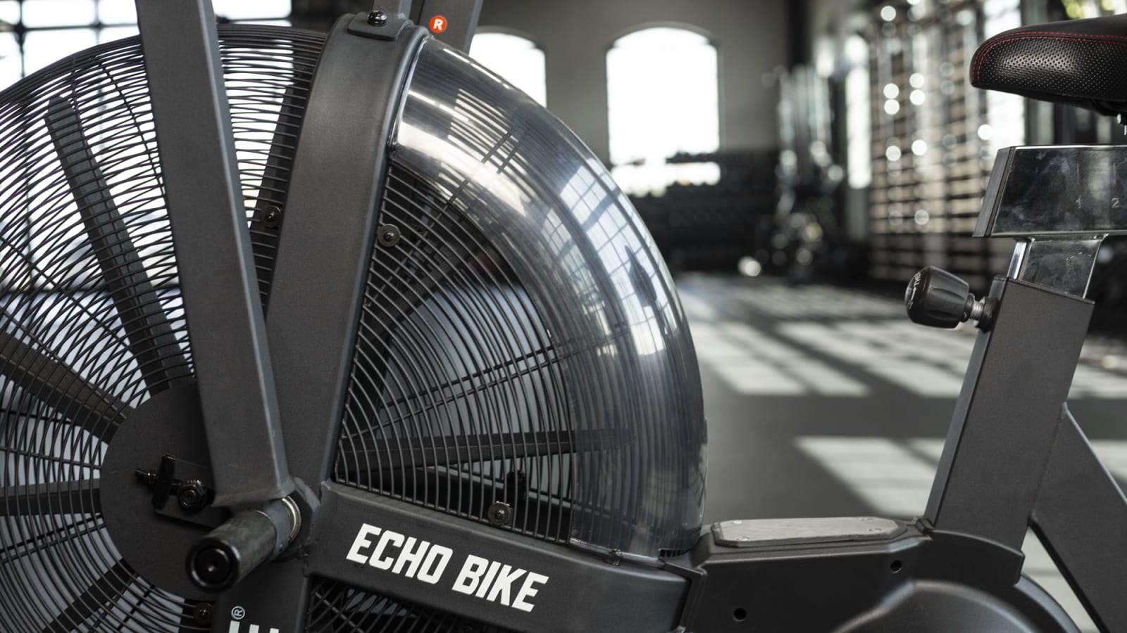 Rogue cheap wind bike